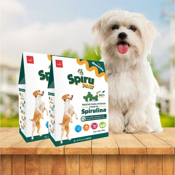 Pack 2 Snack for dogs based on Spirulina Aroma Quesillo