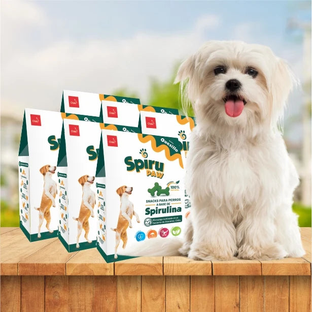 Pack 6 Snack for dogs based on Spirulina Aroma Quesillo