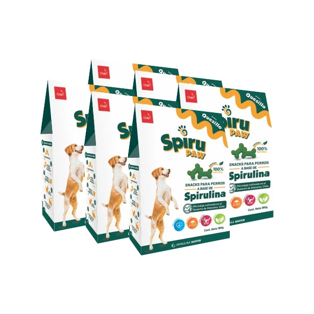 Pack 6 Snack for dogs based on Spirulina Aroma Quesillo