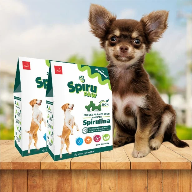 Pack 2 Snack for dogs based on Spirulina