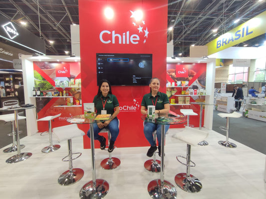 Nuestro equipo