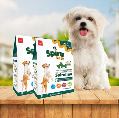Pack 2 Snack for dogs based on Spirulina Aroma Quesillo