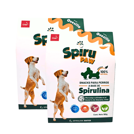 Pack 2 Snack for dogs based on Spirulina Aroma Quesillo