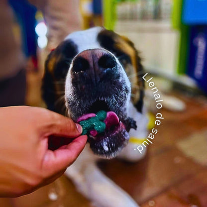 Pack x2 Snack a base de Espirulina SPIRU PAW para perros