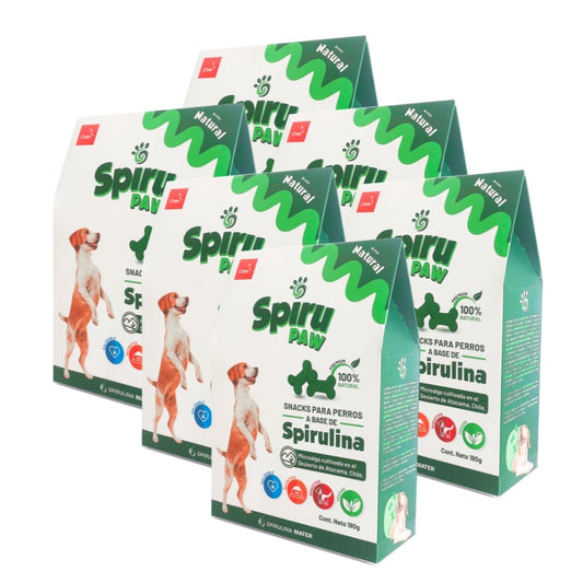 Pack 6 Snack for dogs based on Spirulina
