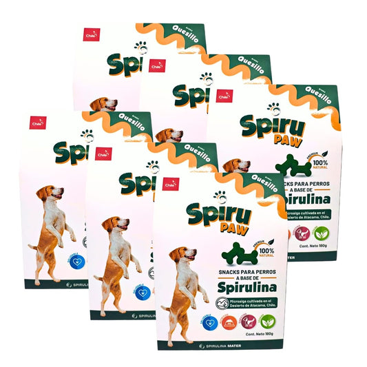 Pack 6 Snack for dogs based on Spirulina Aroma Quesillo