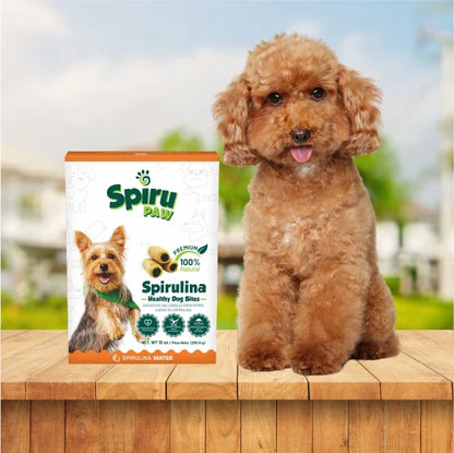 Bocaditos para perros SPIRU PAW a base de Espirulina