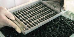 Espirulina Premium en Tabletas 100 Unidades