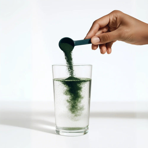 Espirulina en Polvo Orgánica 150g